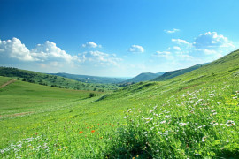 Thumbnail for 7043162