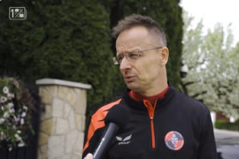 Thumbnail for 7043179