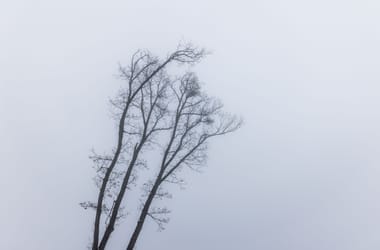 Thumbnail for 7043356