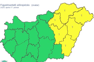 Thumbnail for 7043699