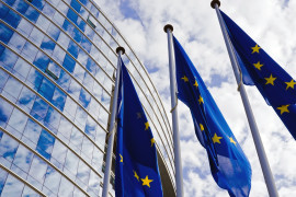 Thumbnail for 7043893