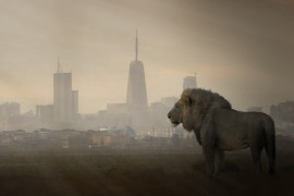 Thumbnail for 7044011