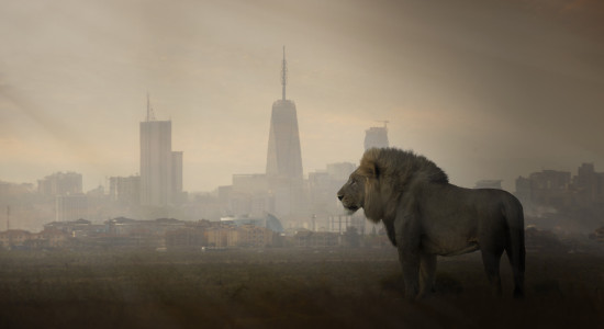 Thumbnail for 7044011