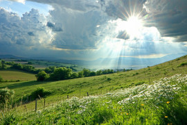 Thumbnail for 7044270