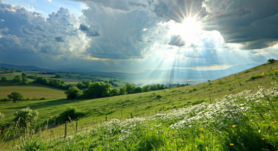 Thumbnail for 7044270