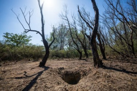 Thumbnail for 7044390