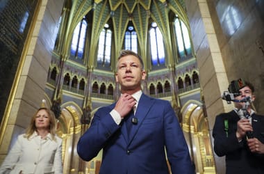 Thumbnail for 7044622