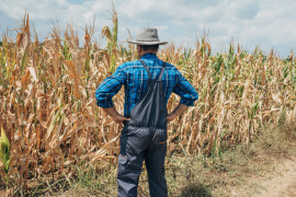 Thumbnail for 7044804