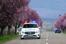 Thumbnail for 7044819