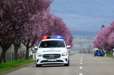 Thumbnail for 7044819