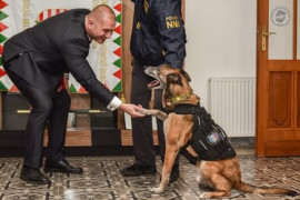 Thumbnail for 7044837