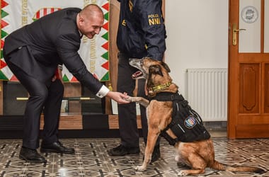 Thumbnail for 7044837