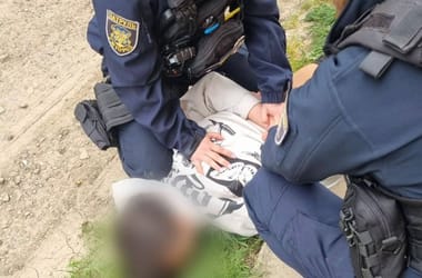 Thumbnail for 7044904