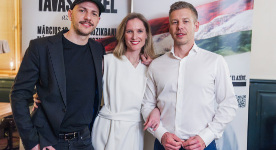 Thumbnail for 7045113