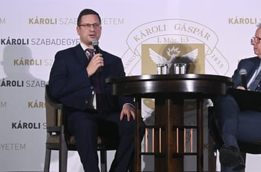 Thumbnail for 7045465