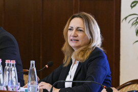 Thumbnail for 7045541