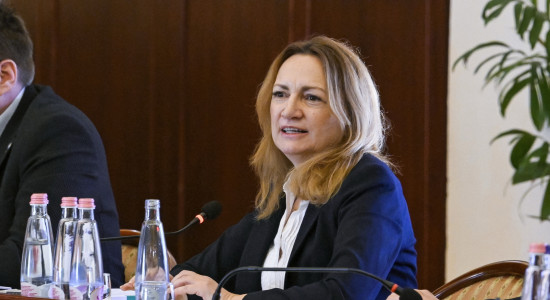 Thumbnail for 7045541