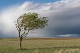 Thumbnail for 7045599