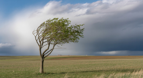 Thumbnail for 7045599