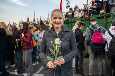 Thumbnail for 7045701