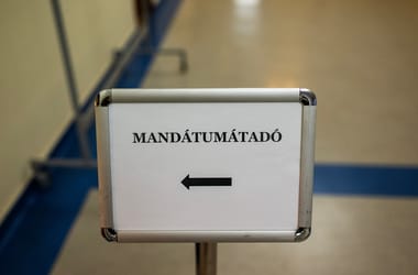 Thumbnail for 7045877