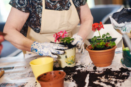 Thumbnail for 7045895