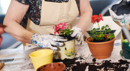 Thumbnail for 7045895