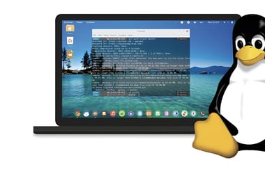 Thumbnail for 7045908