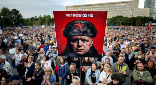 Thumbnail for 7045947