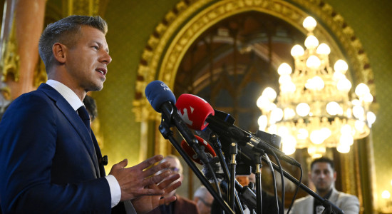 Thumbnail for 7046548