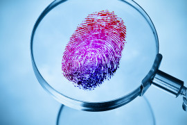 Thumbnail for 7046560