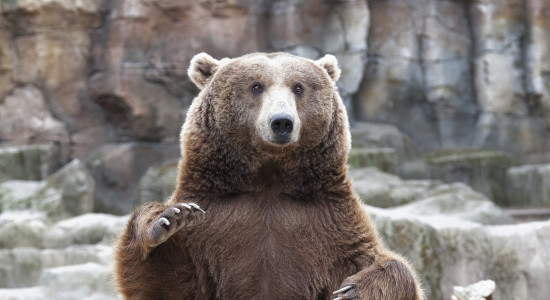 Thumbnail for 7046730