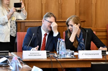 Thumbnail for 7046907