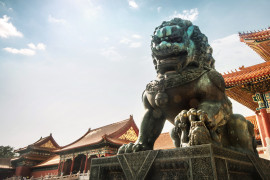 Thumbnail for 7046945