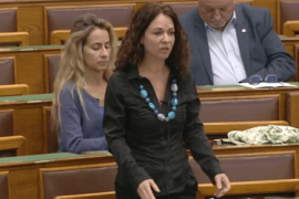 Thumbnail for 7047288