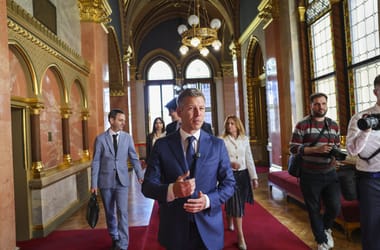 Thumbnail for 7047494