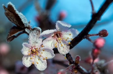 Thumbnail for 7047666