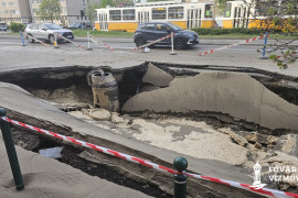 Thumbnail for 7047888