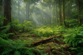 Thumbnail for 7047902