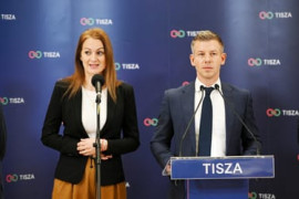 Thumbnail for 7047986