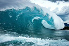 Thumbnail for 7048006