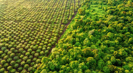 Thumbnail for 7048175