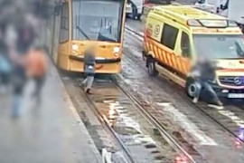 Thumbnail for 7048264