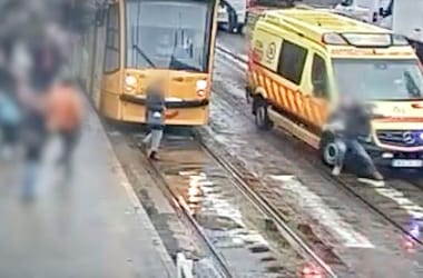 Thumbnail for 7048264