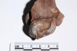 Thumbnail for 7048293