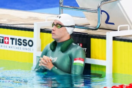 Thumbnail for 7048393