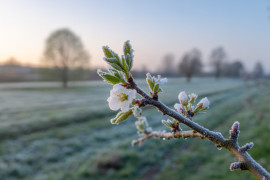 Thumbnail for 7048512