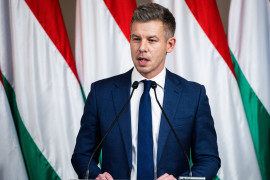 Thumbnail for 7048635