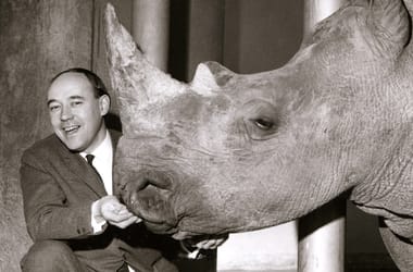 Thumbnail for 7048705