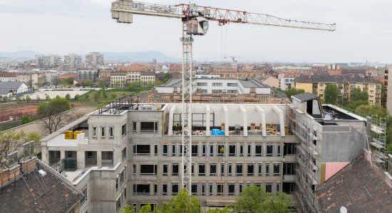 Thumbnail for 7048739